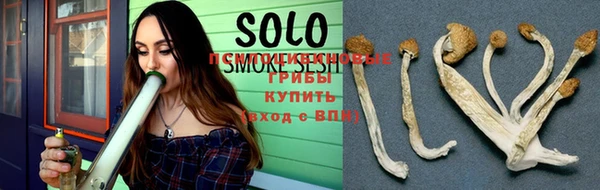 дмт Аркадак