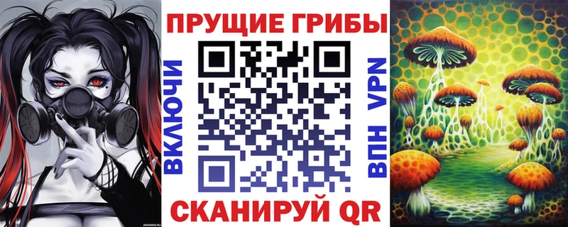 Галлюциногенные грибы MAGIC MUSHROOMS  ОМГ ОМГ ссылка  Теберда 